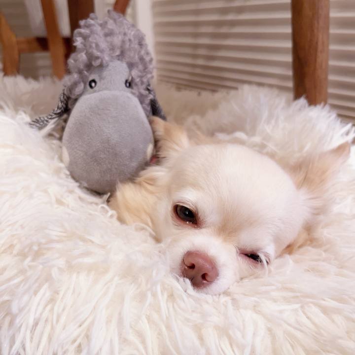 D297fde4 b4dd 4cfa 844a 5d6dc27d8650 1748257573607