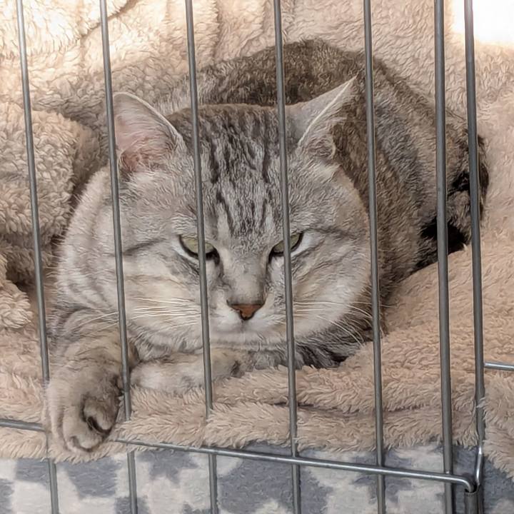 D29800ec 1d64 4b5b b716 5239ff915009 1743415130523