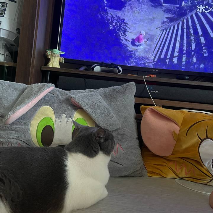 D2983c6e 72ce 42e2 a9c6 f3912eb11dec 1752913489351