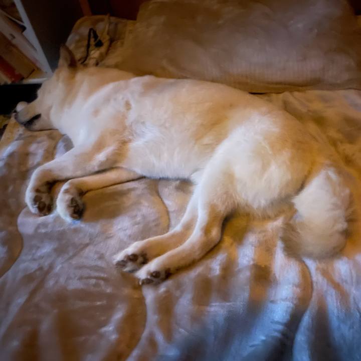 D2984925 02d8 4a43 9ba1 3ef3b4987076 1635133434843