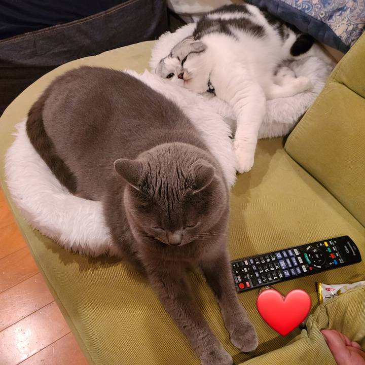 D298612b 122d 4e83 b34d 6f205aafad74 1669617793130