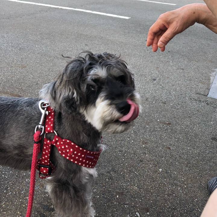 D298a8dc 73a5 49f5 bb0f 61be110e7f57 1535236200896