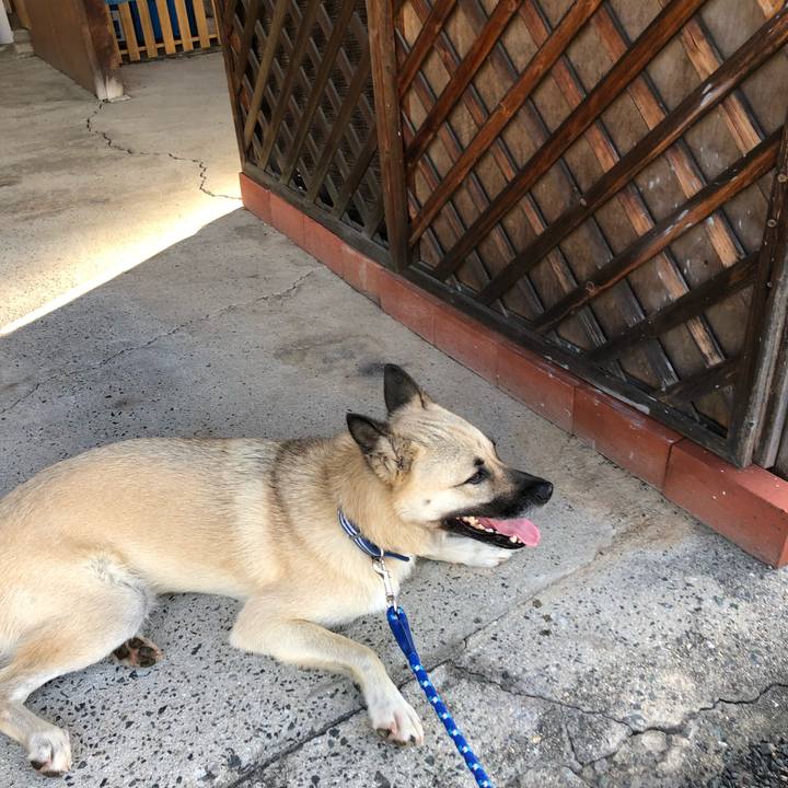 D298b97f 981e 43e2 a9c3 8d93be453e4e 1534154983863