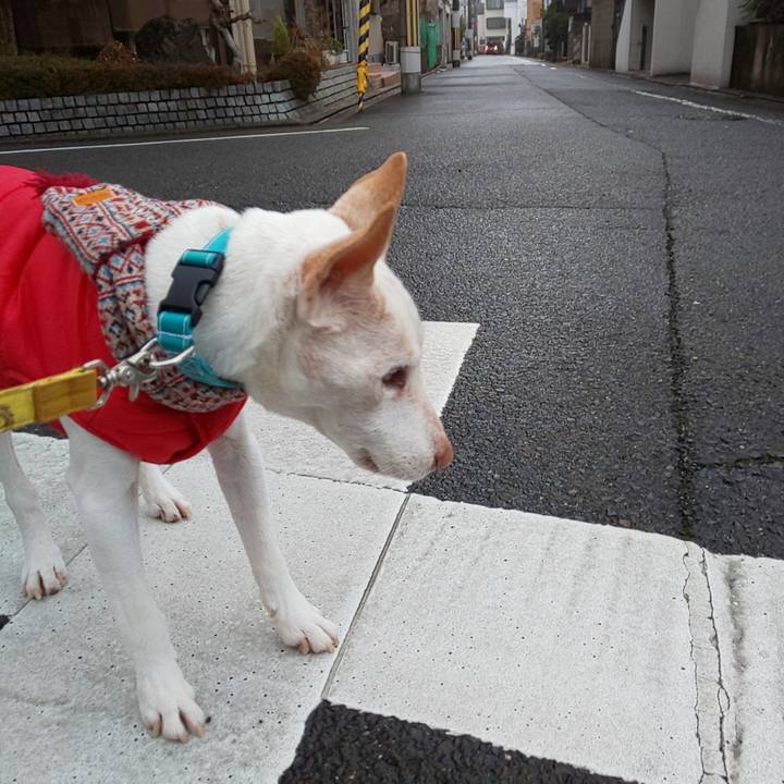 D298c432 29a2 4da1 b68b 1e4f65eeb501 1550619364944