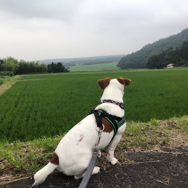 D298e125 4944 489c a709 b18893ca115b 1562144218243