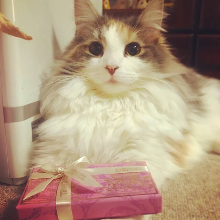 D298f51b 114c 4f7f 9290 2b113b0276d2 1518624555372