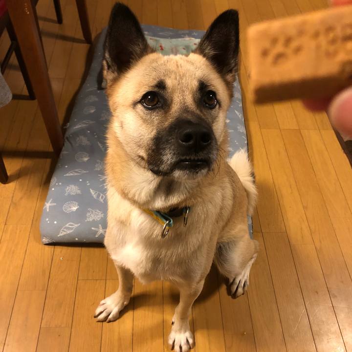 D2993164 1292 4d7f ae14 784548c62ff4 1540210236838