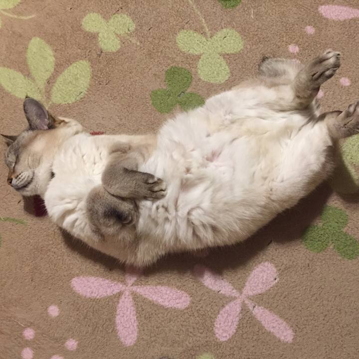 D299422c 41f5 4f3c 85ae 5c76f0590f7c 1577011454317