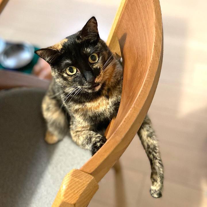 D29963cf 2b29 4daa bbc0 3c9334df78fa 1658493148897