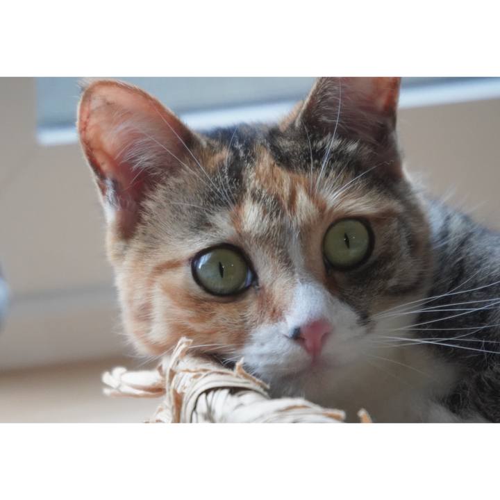 D2999331 db7d 41ad ac43 ce6d4f4ef17e 1655011929503