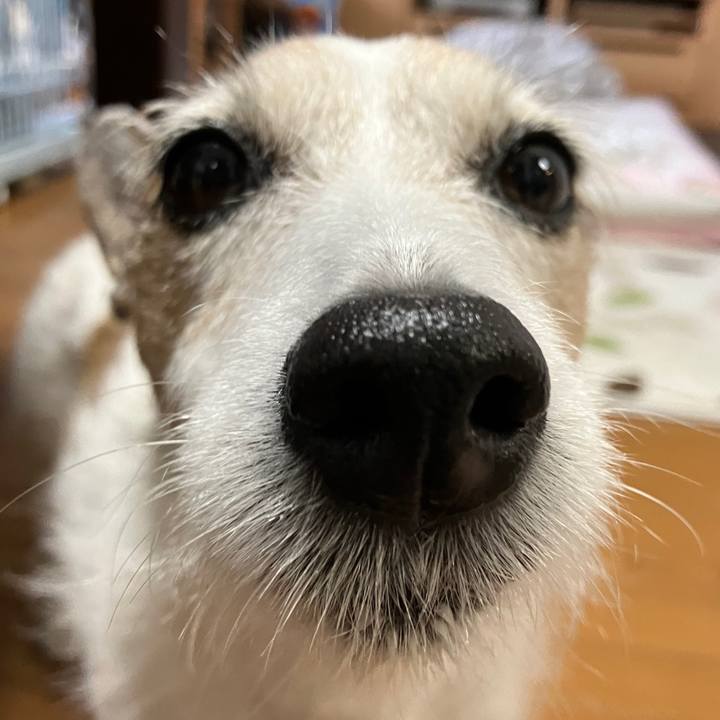 D2999b9a 5d24 436b b2f2 c0fe17692bcb 1722650154044