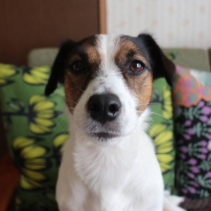 D299b206 383c 48fb 8981 6321c7356754 1540339901584