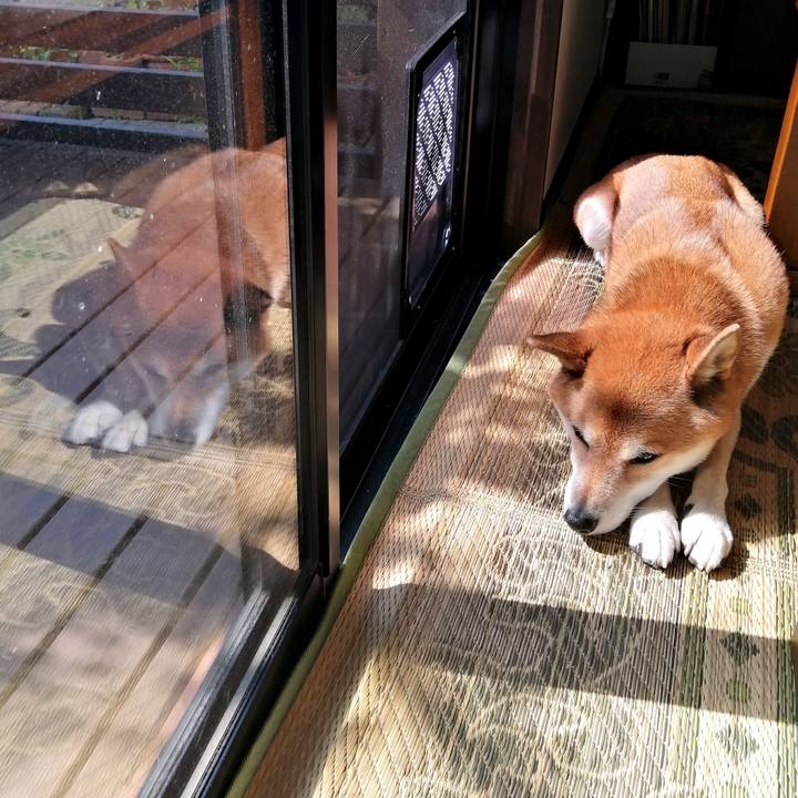 D299b244 1f61 4478 9c7f fb70582a2740 1666145639070