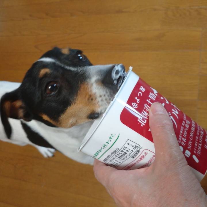 D29a3758 1ad7 4d7d b0ad 245c43dc3604 1598574949324