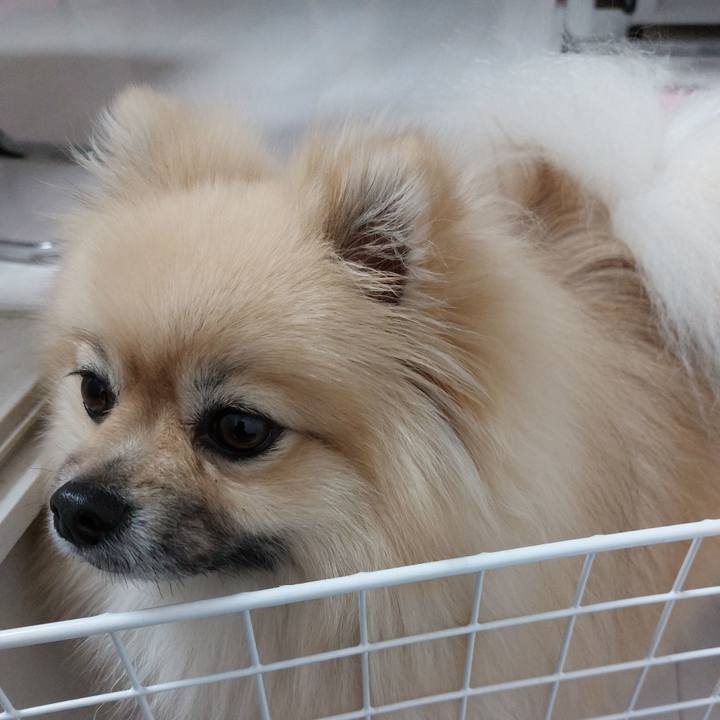 D29a85ab 9334 43fa 972a 8c42eb18048f 1674705820497