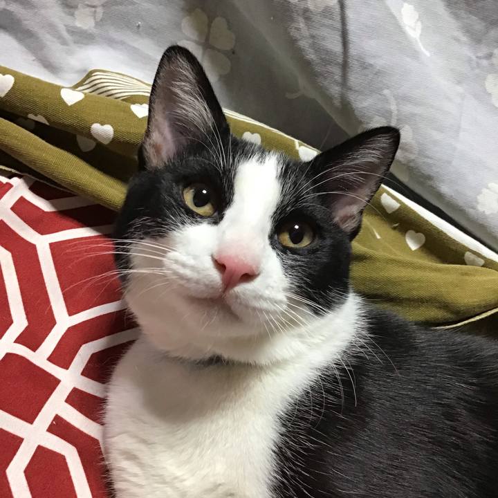 D29ab5f2 ff71 400a 9192 9cc81e76bd85 1634632247550