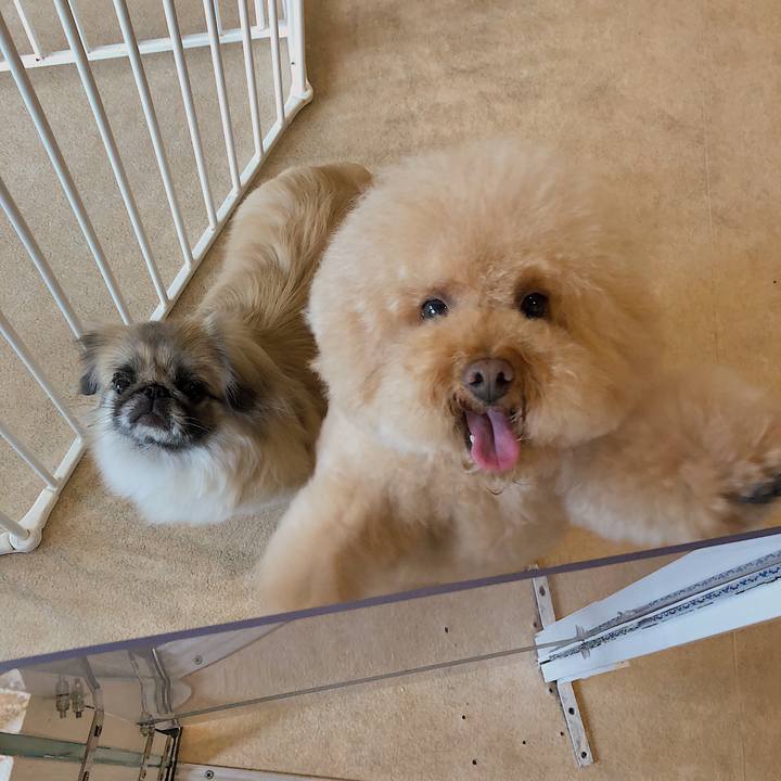 D29b5047 5dd4 4f0f 9f82 1a5dcc9fe45e 1530528202279