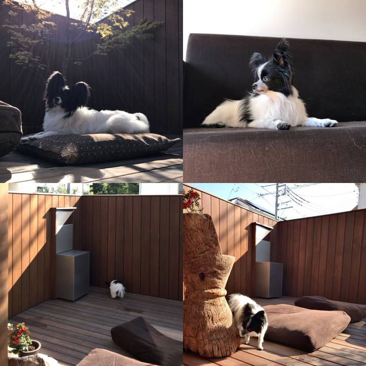 D29b69b3 f6e9 462a a0d3 f5d716bf07f1 1509097219655