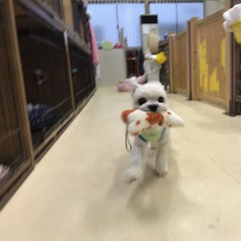 D29b9103 3aab 4a9a 9da0 99cef86b13c0 1508501310739