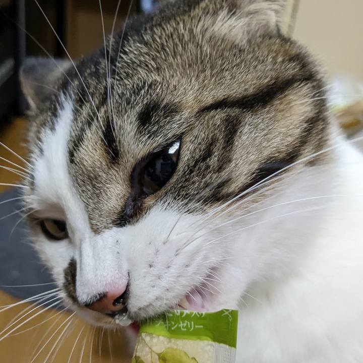 D29bc562 2b40 40f7 8c0a 509a86210a21 1680781763157