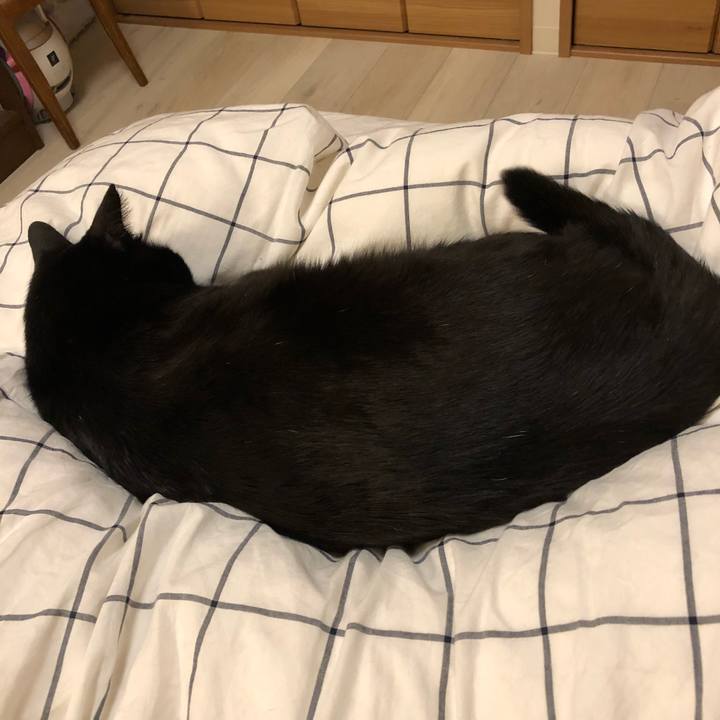 D29c12eb b61a 4ea7 a582 45081dd998c3 1523807401702