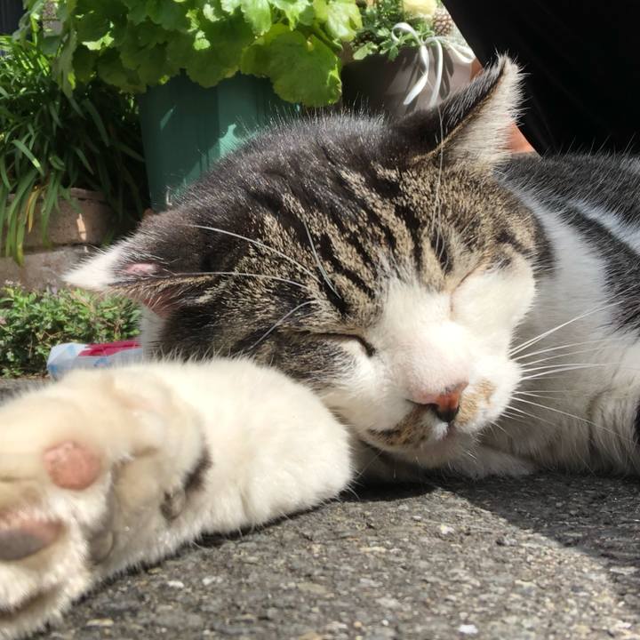 D29c1b07 26b2 4196 b948 1375bd2257c9 1582435954118