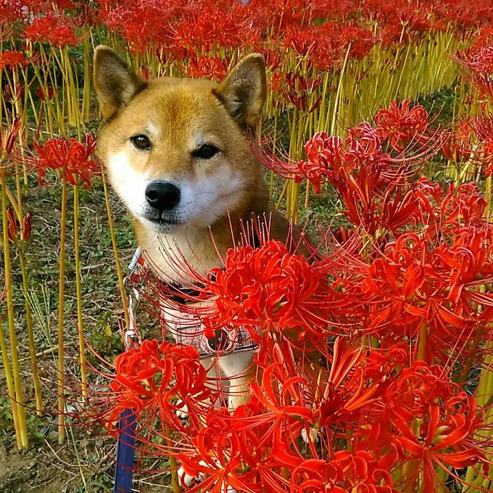 D29c34ec 729f 4f4e a558 753260b4f9d0 1569827643729