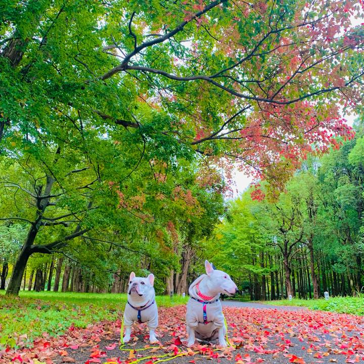 D29ccd8d e2b5 411e a0de 0707c92171ea 1604463104164