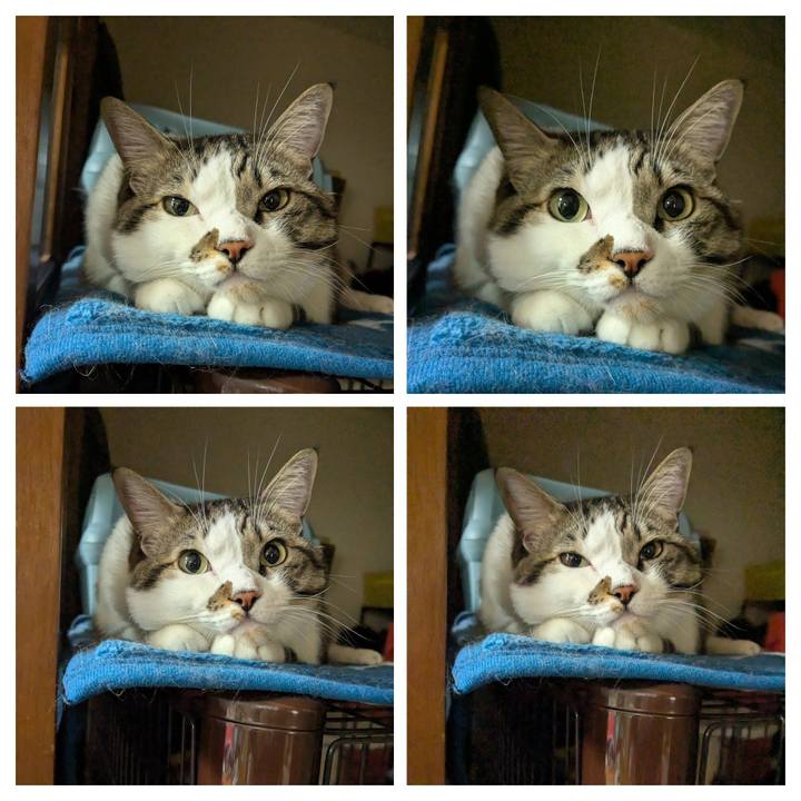 D29ccf0a c948 4a13 bee7 0e0687b6879d 1763758218474