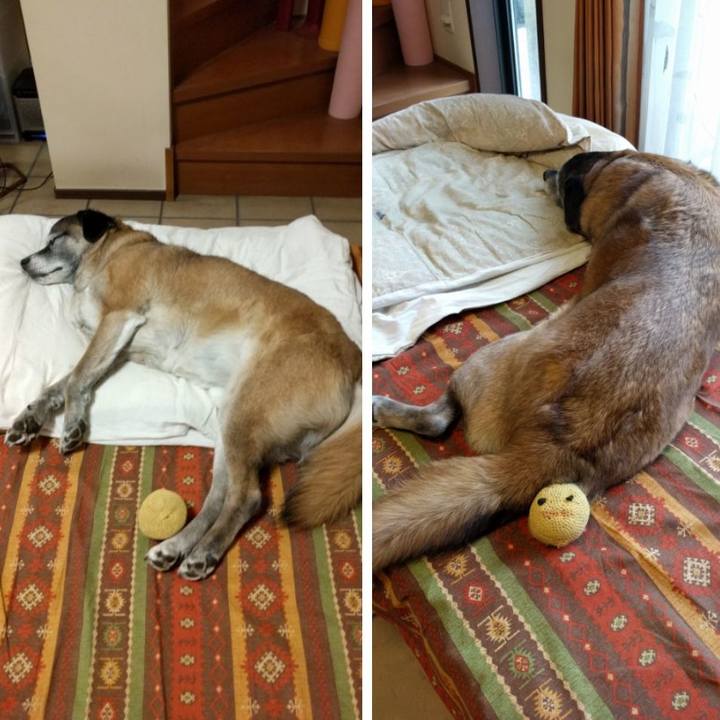 D29d35d2 6bca 4972 ad17 5a4ff31ef1bd 1520644323516