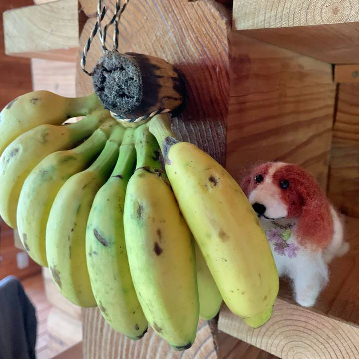 D29d6ca7 20e2 4e36 9685 b9f93cac0aa1 1630710274410