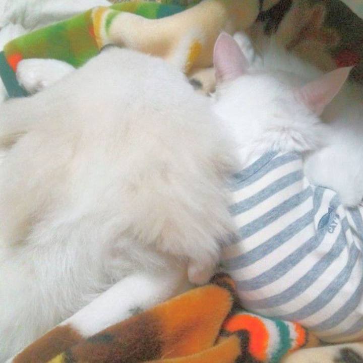 D29d79ad f927 4095 8472 83f6d9051dd0 1719620483888