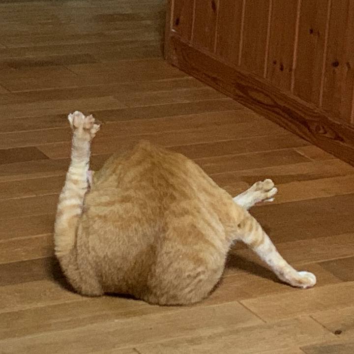 D29d7cb4 9c95 4bae 9422 11c3298ef25f 1667750244687