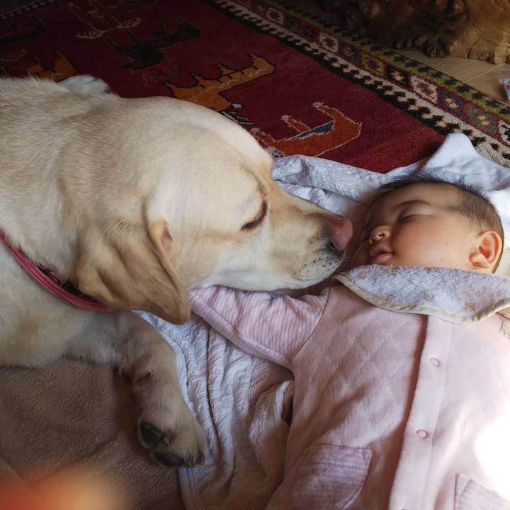 D29d831c adf8 49a2 a9a5 3856d376f571 1552445706498