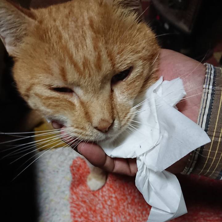 D29dc332 e742 442a 8054 22dd75203754 1571000693210