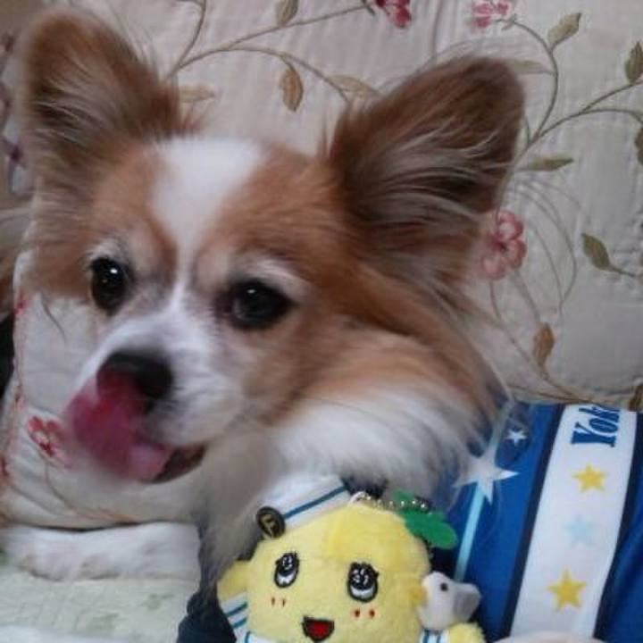 D29dc3f0 1a5e 41c9 8915 44515ebe1811 1703681746336