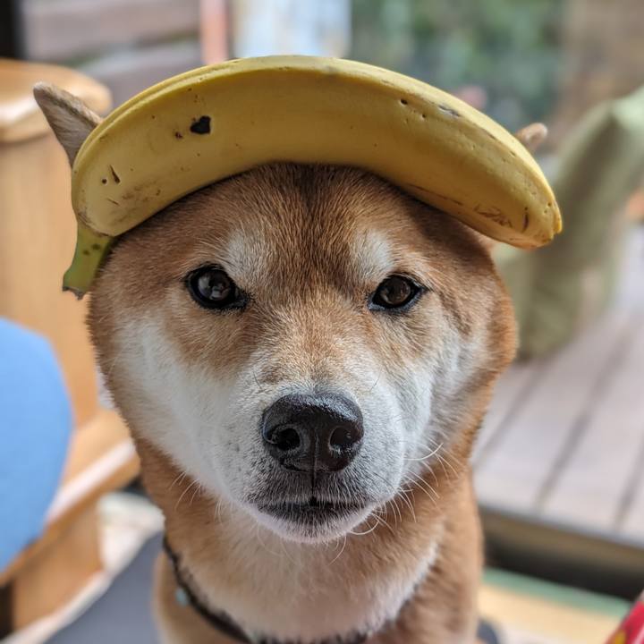 D29dc988 5c8f 4a3a be94 bfdeeec12f5a 1705894741305