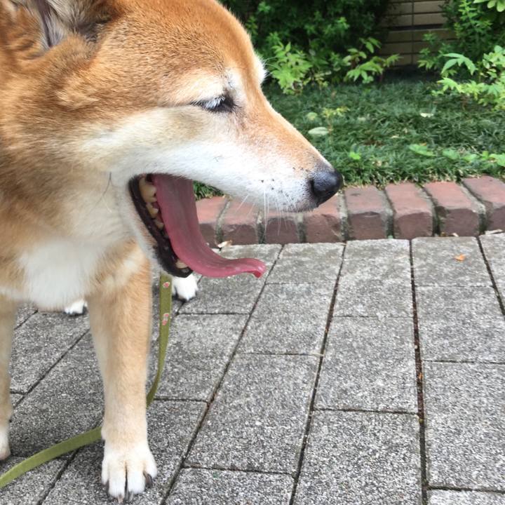 D29dcba3 2c78 4d0d 9319 be7d2fda3d11 1589349459188