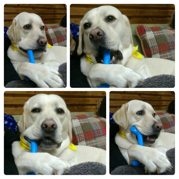 D29dd30d 6604 4676 b4ea 32c6722e71f9 1511429957039