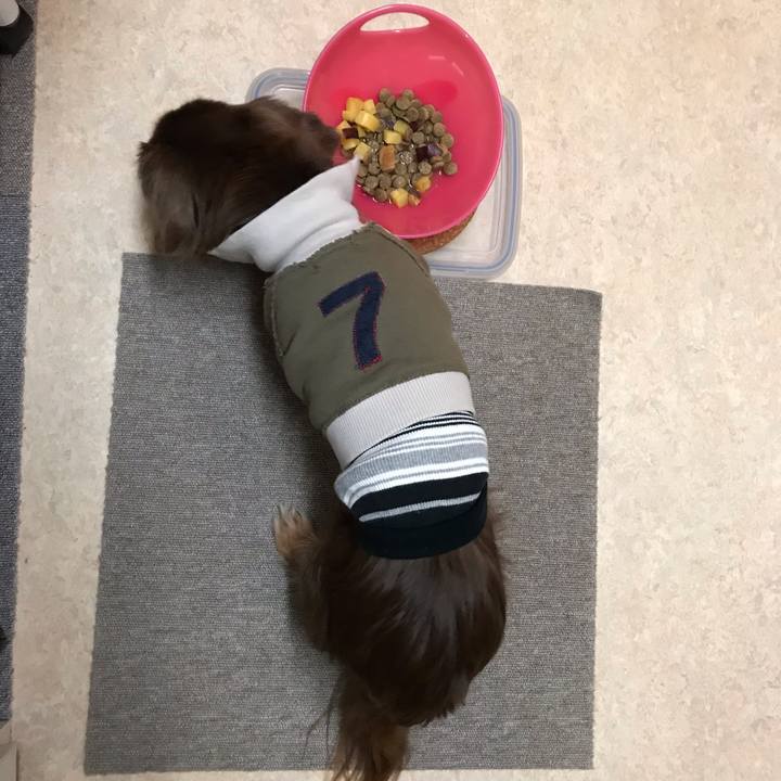 D29de67b 8546 460c ad3a c88e5602a079 1549453568674