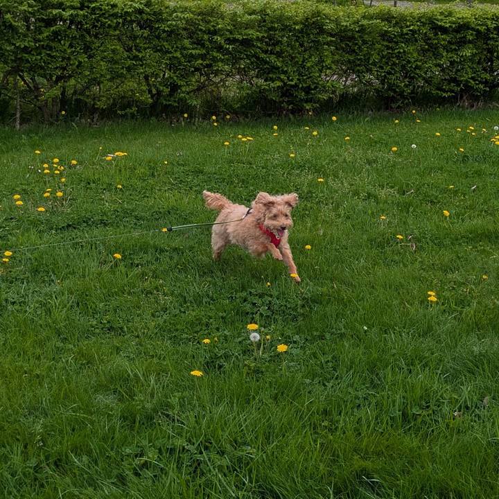 D29decfa 79bf 4d6f 84fb 92dec97e4993 1748129804986