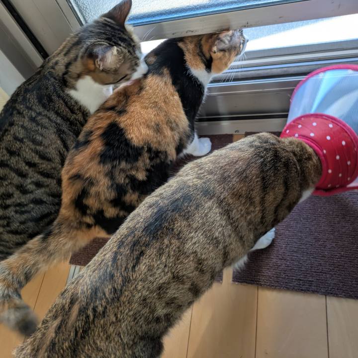 D29e24ff cdb8 433d 8c5c defd51d89b2a 1753612747867