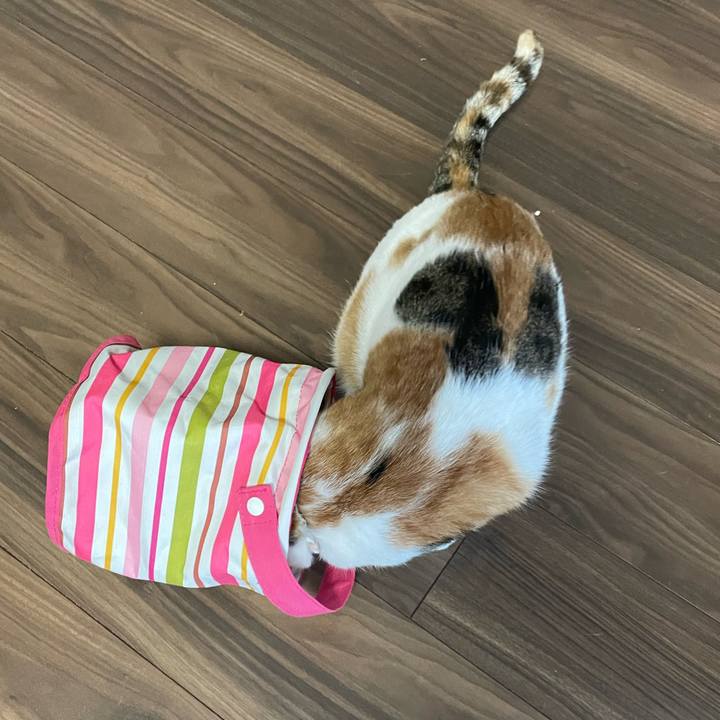 D29e34a4 621a 4e14 8b91 b1adb1c0775e 1642116774013