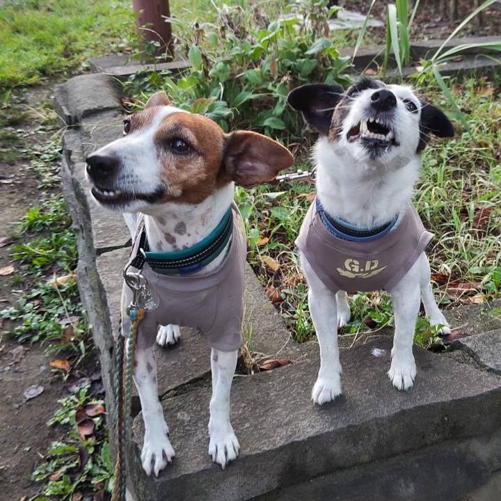 D29e396a 399e 49d5 b6de eba08aeb6b1a 1727827544550