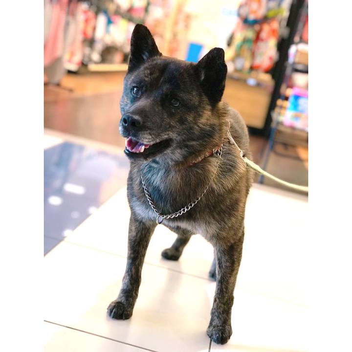 D29e3e03 0a95 43be ad22 d5fe944a5571 1556875892096