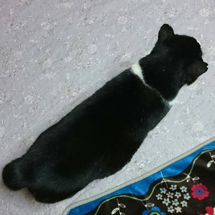 D29e87e9 78f6 4289 823d 0365e53a01ef 1521069455786