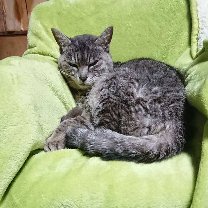 D29e8d7d 23d9 4efd 8d76 254c7bf3e41d 1583226598666