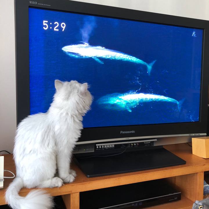 D29e9199 5b51 4799 80e3 3a165c59135b 1528489940753