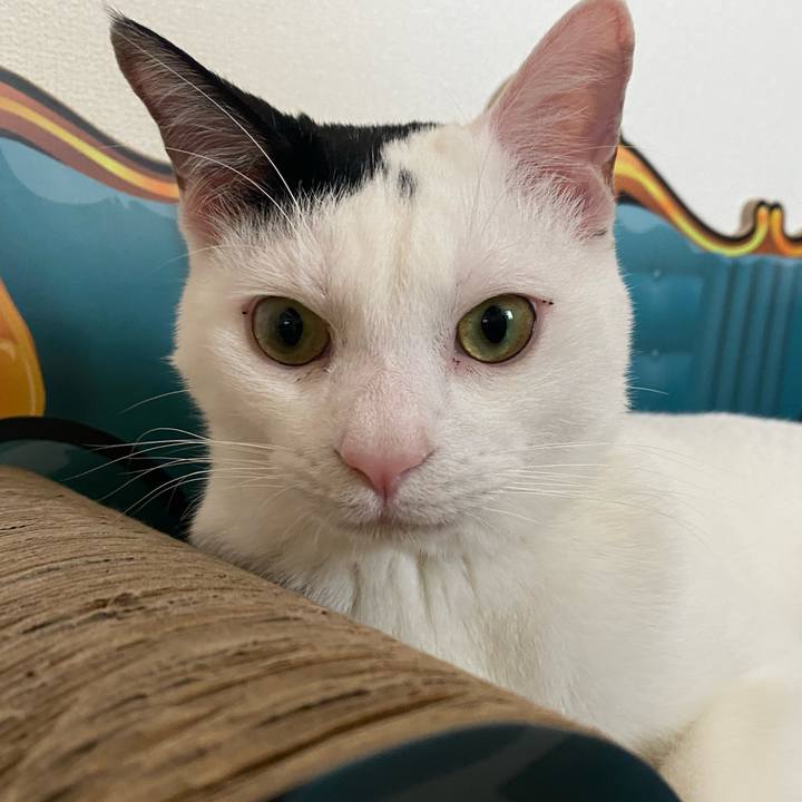 D29ea21e 2292 4bed ba83 2e491c7c442c 1683419360245