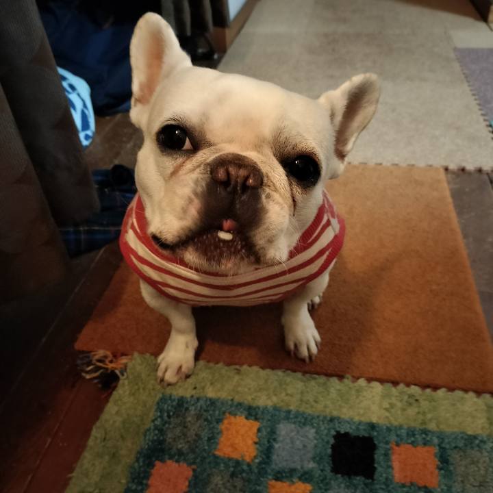 D29ea467 c3cb 4466 a14a 5f7fbb28569c 1672883894151